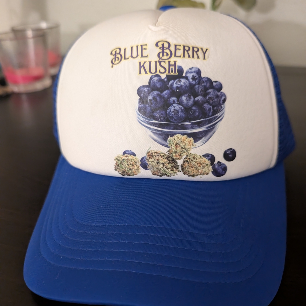Blue and White Kids Trucker Hat